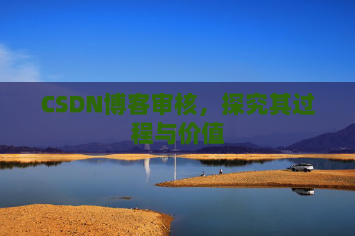 CSDN博客审核,探究其过程与价值